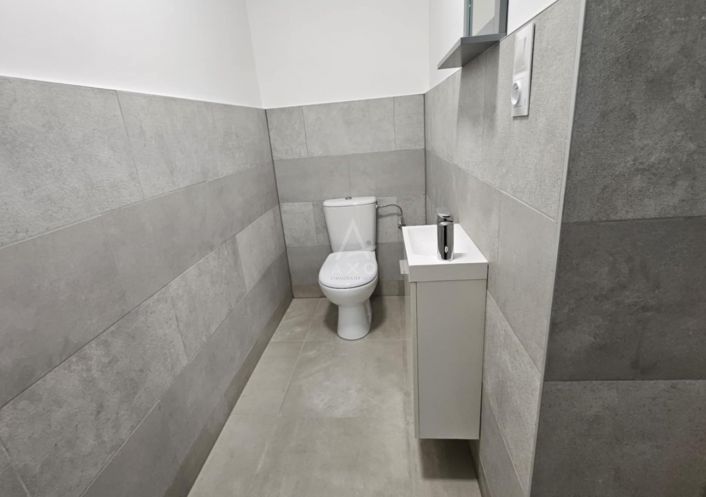 vente Local commercial Albertville