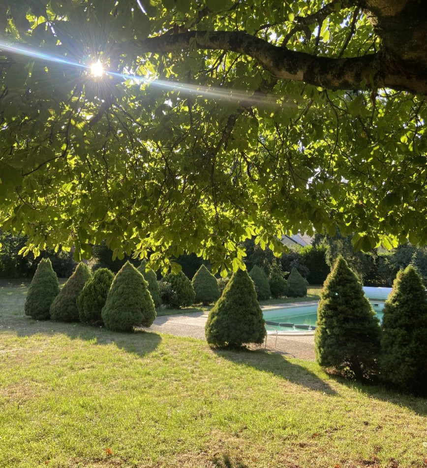 vente Maison de maître Chuelles - Photo 13