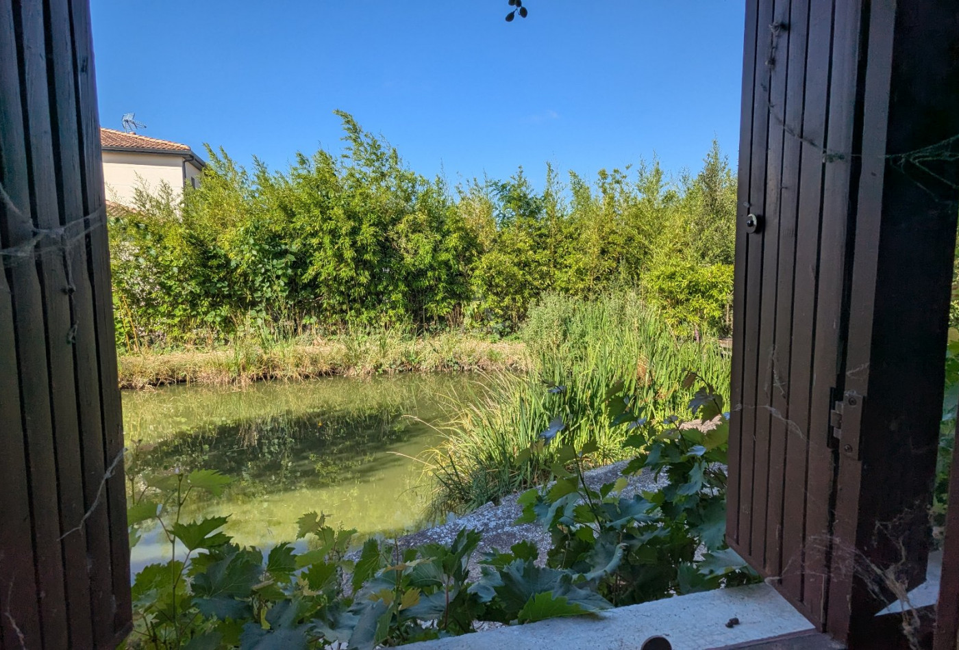 vente Maison Cugnaux - Photo 10