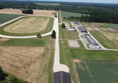 vente Haras / equestre Boissy Saint Leger