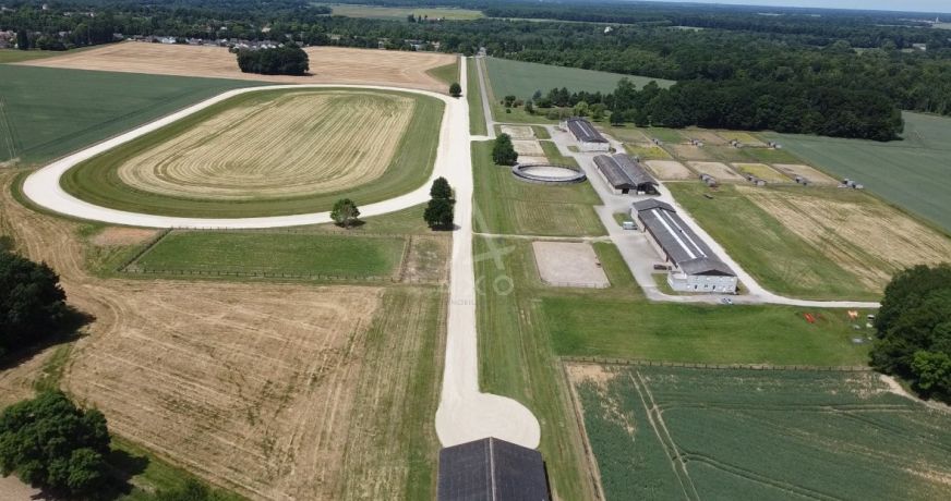 vente Haras / equestre Boissy Saint Leger