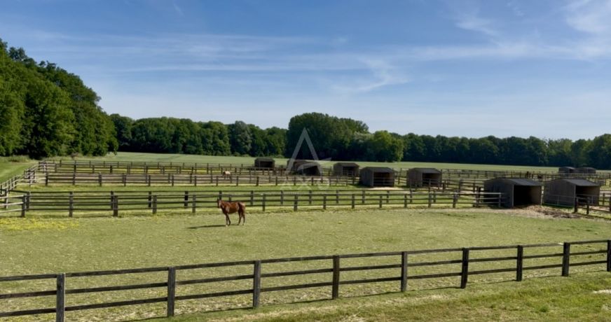 vente Haras / equestre Boissy Saint Leger