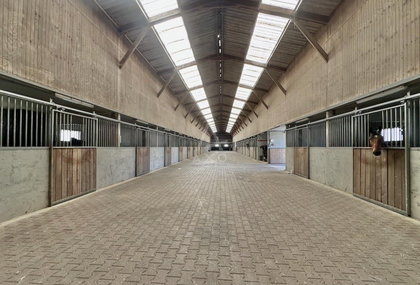 vente Haras / equestre Boissy Saint Leger - Photo 4