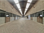 vente Haras / equestre Boissy Saint Leger