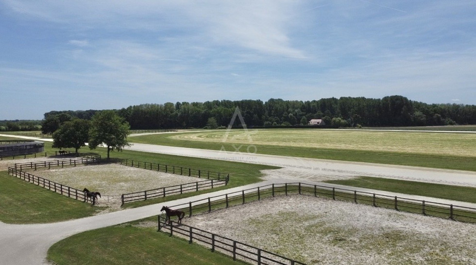 vente Haras / equestre Boissy Saint Leger - Photo 1