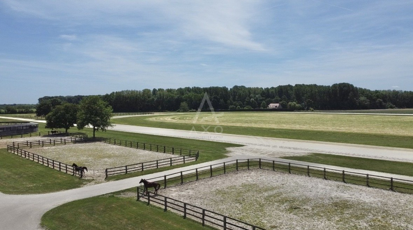 vente Haras / equestre Boissy Saint Leger - Photo 1