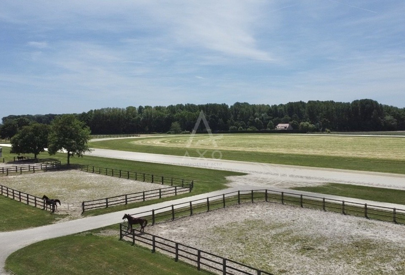 vente Haras / equestre Boissy Saint Leger - Photo 1