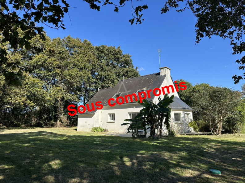 vente Maison Locoal Mendon - Photo 1