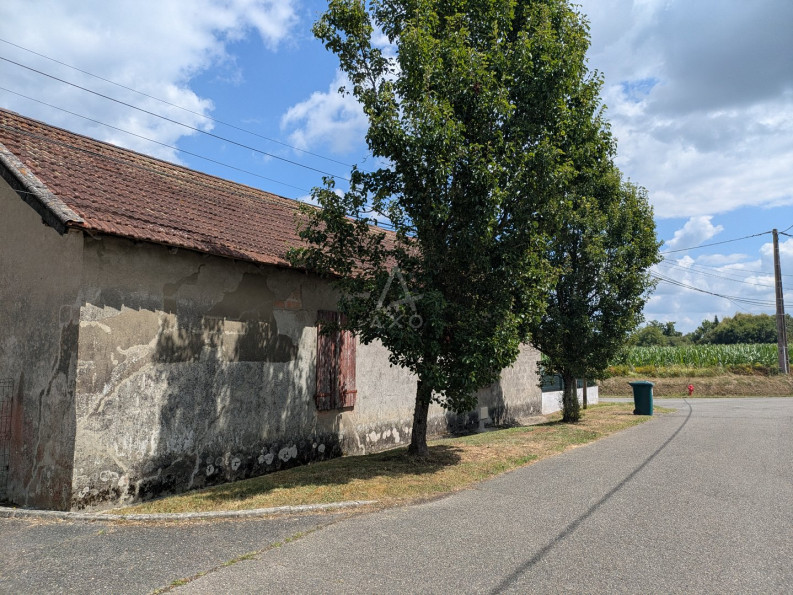 vente Hangar Hagetaubin - Photo 2