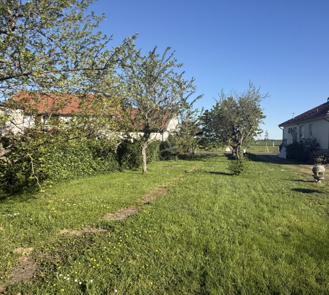 vente Terrain Augny - Photo 2