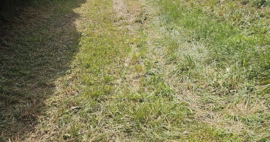 vente Terrain constructible Rognaix