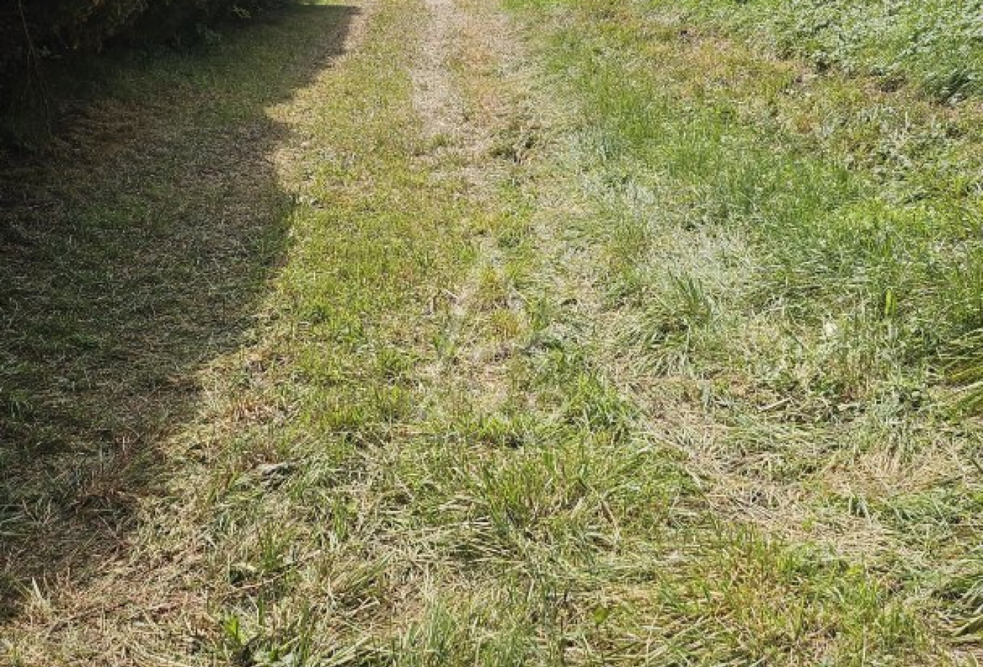 vente Terrain constructible Rognaix - Photo 6