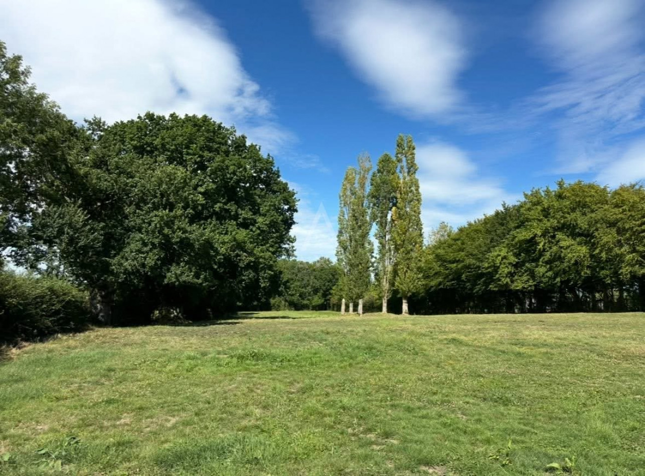 vente Maison Falaise - Photo 5