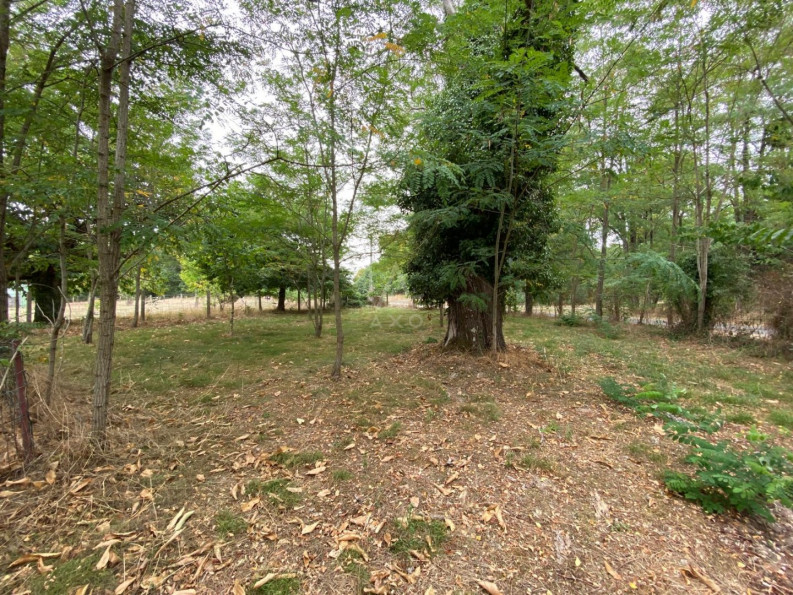 vente Ensemble immobilier Les Bordes - Photo 7