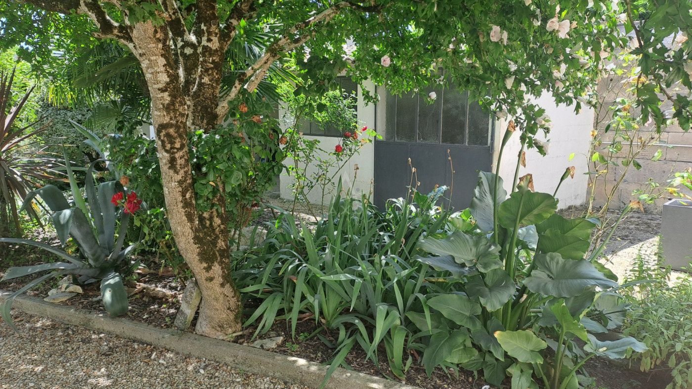 vente Maison en pierre Saint Meme Les Carrieres - Photo 9