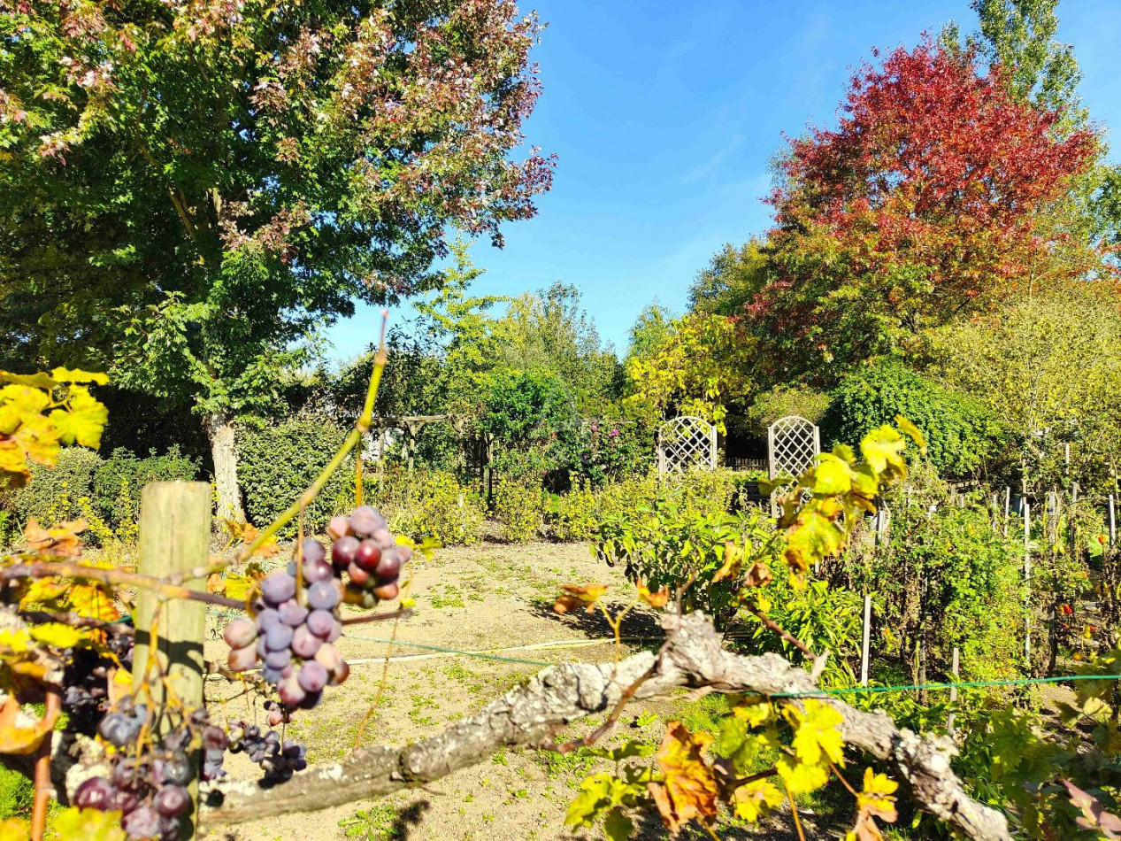 vente Maison La Chapelle D'aligne - Photo 12