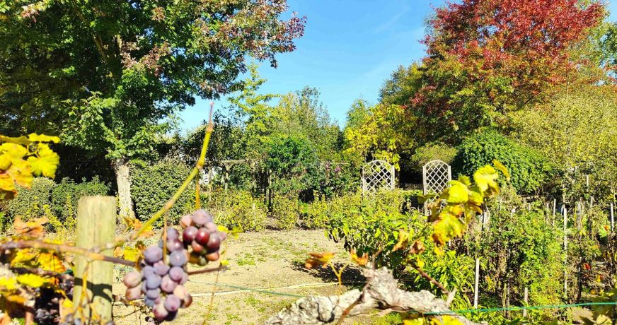 vente Maison La Chapelle D'aligne