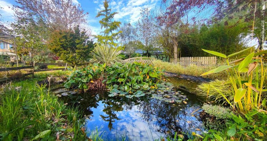 vente Maison La Chapelle D'aligne