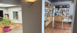 vente Local commercial Les Herbiers