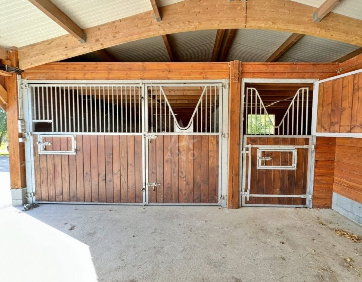 vente Haras / equestre Sees - Photo 3