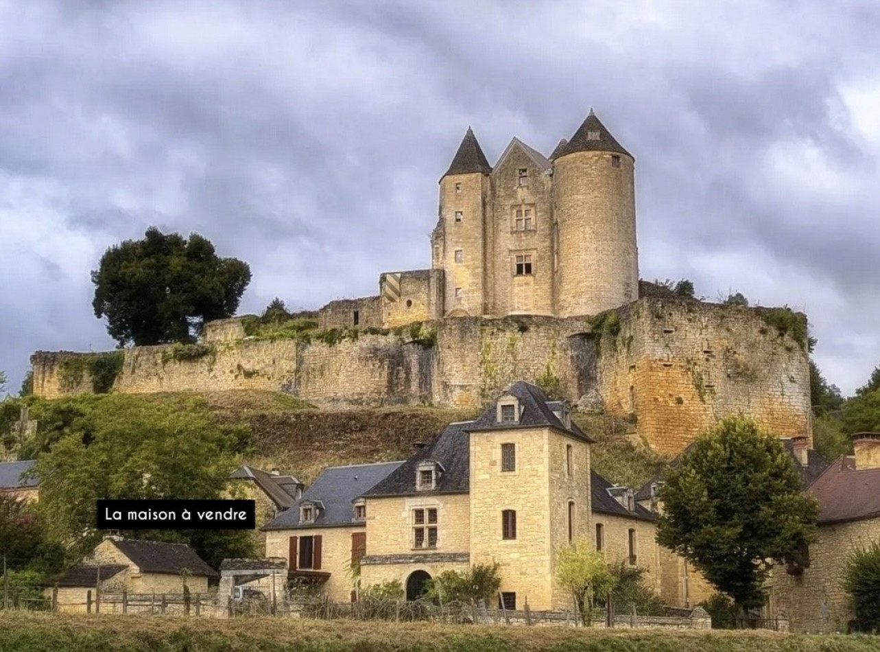 sale Maison en pierre Salignac Eyvigues - Photo 1