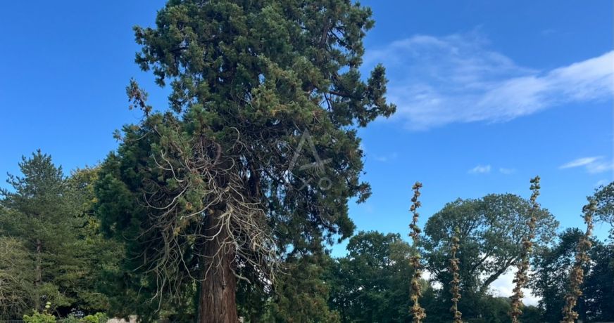 vente Domaine Dieppe