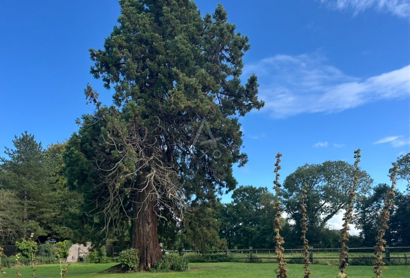 vente Domaine Dieppe - Photo 4