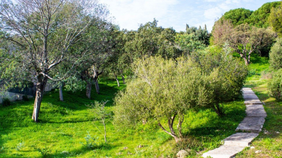 vente Appartement Bormes Les Mimosas - Photo 9