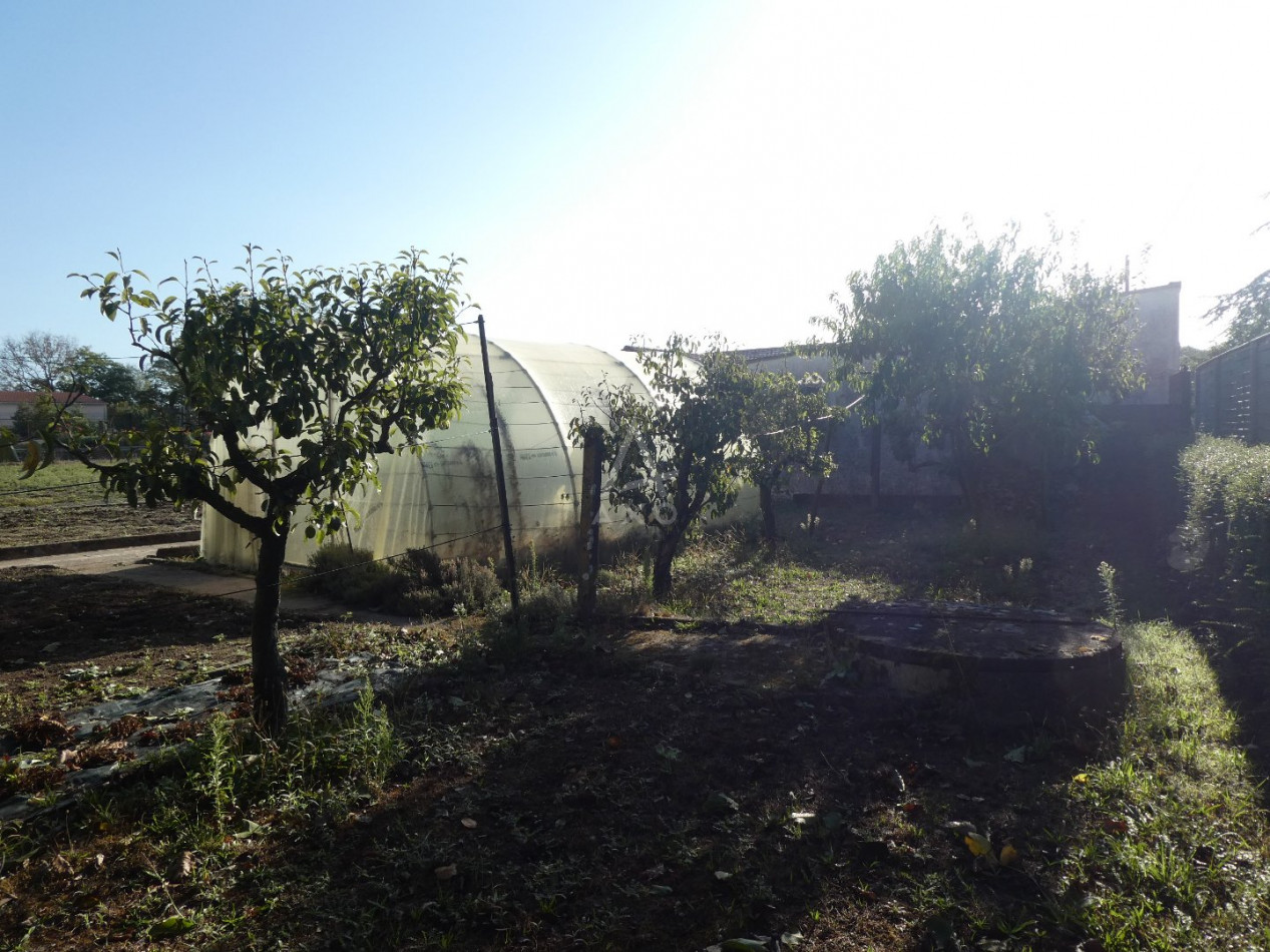 vente Terrain Clisson - Photo 3