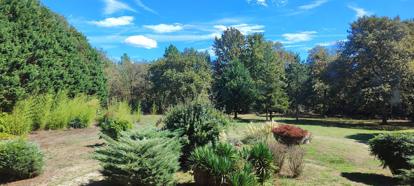 vente Maison Saint Cricq Villeneuve - Photo 12