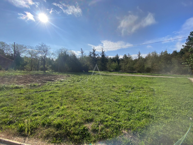 vente Terrain Villematier - Photo 3