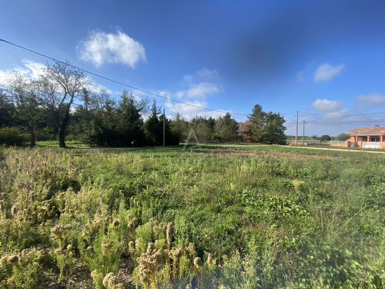 vente Terrain Villematier - Photo 1