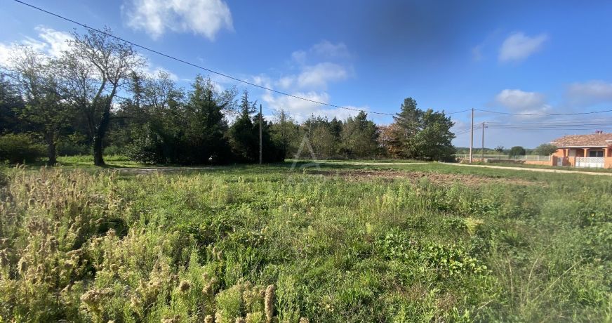 vente Terrain Villematier