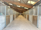 vente Haras / equestre Berjou