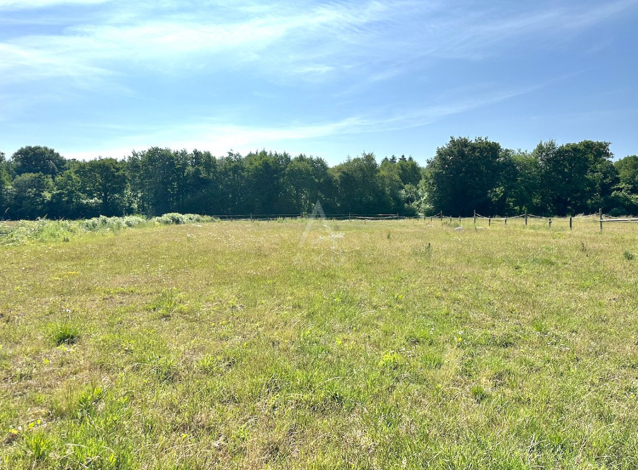 vente Haras / equestre Berjou - Photo 8