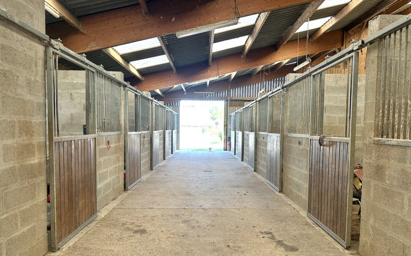 vente Haras / equestre Berjou - Photo 10