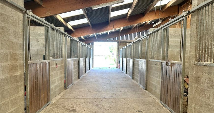 vente Haras / equestre Berjou