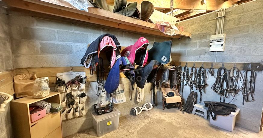vente Haras / equestre Berjou