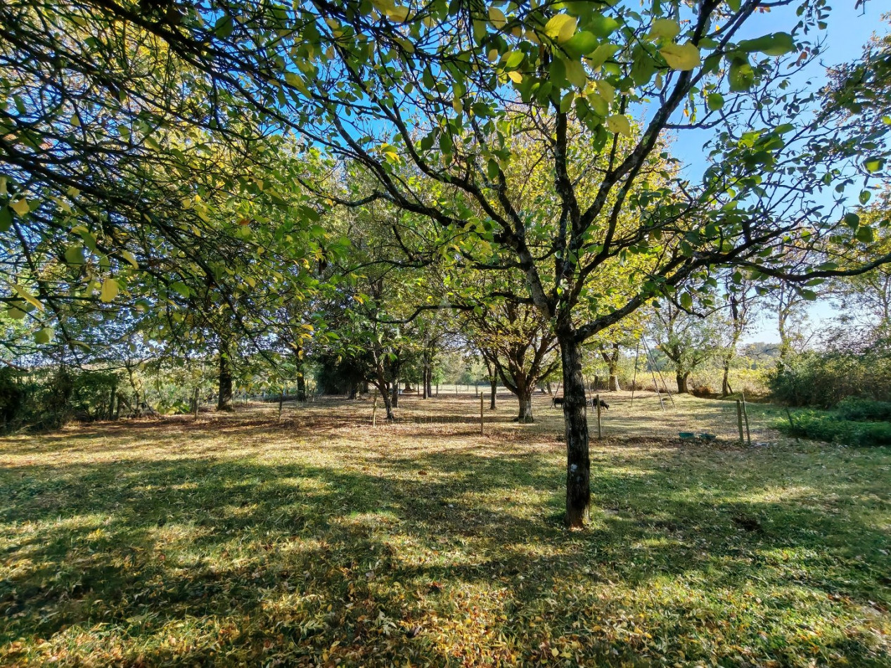 vente Maison de caractère Le Landreau - Photo 2