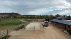 vente Haras / equestre Crevecoeur En Auge