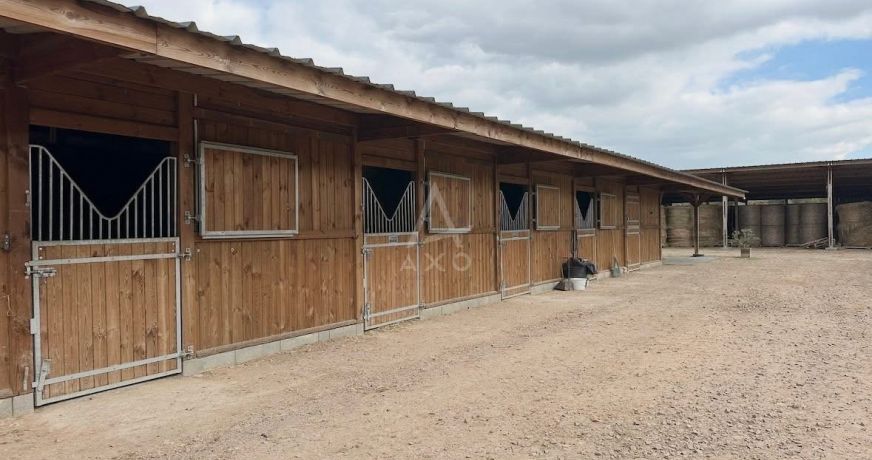 vente Haras / equestre Crevecoeur En Auge
