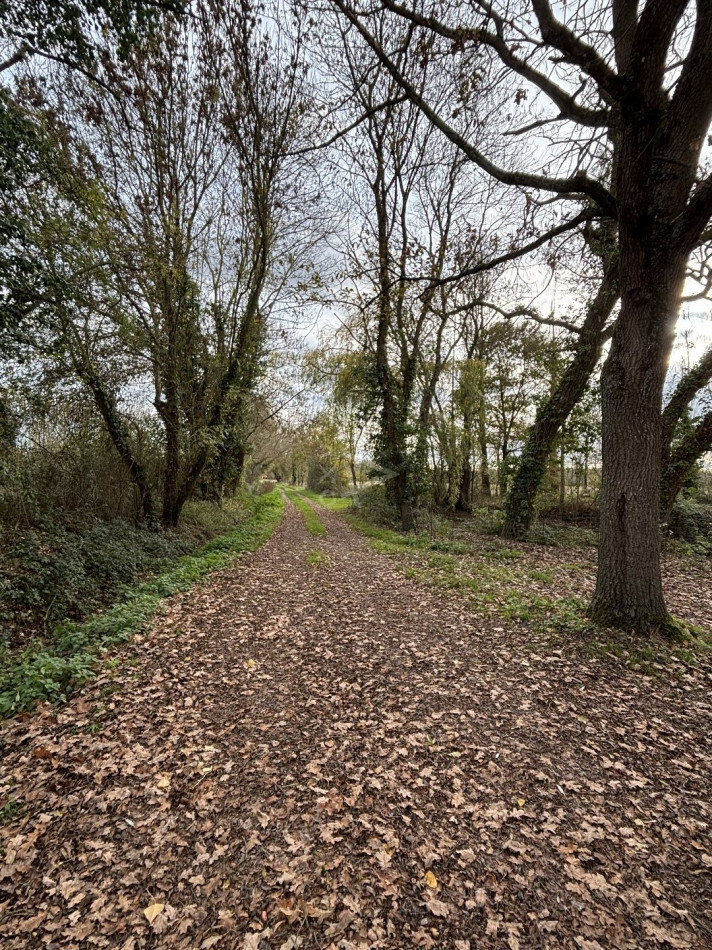 vente Maison Morannes - Photo 11