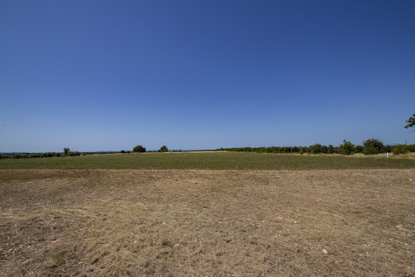 vente Terrain constructible Puimoisson - Photo 1