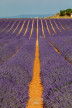 vente Terrain constructible Valensole