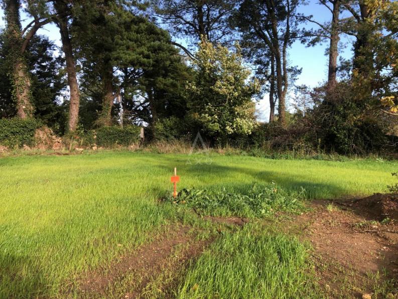 vente Terrain Montaigu-vendÉe - Photo 4