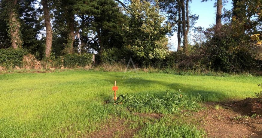 vente Terrain Montaigu-vendÉe