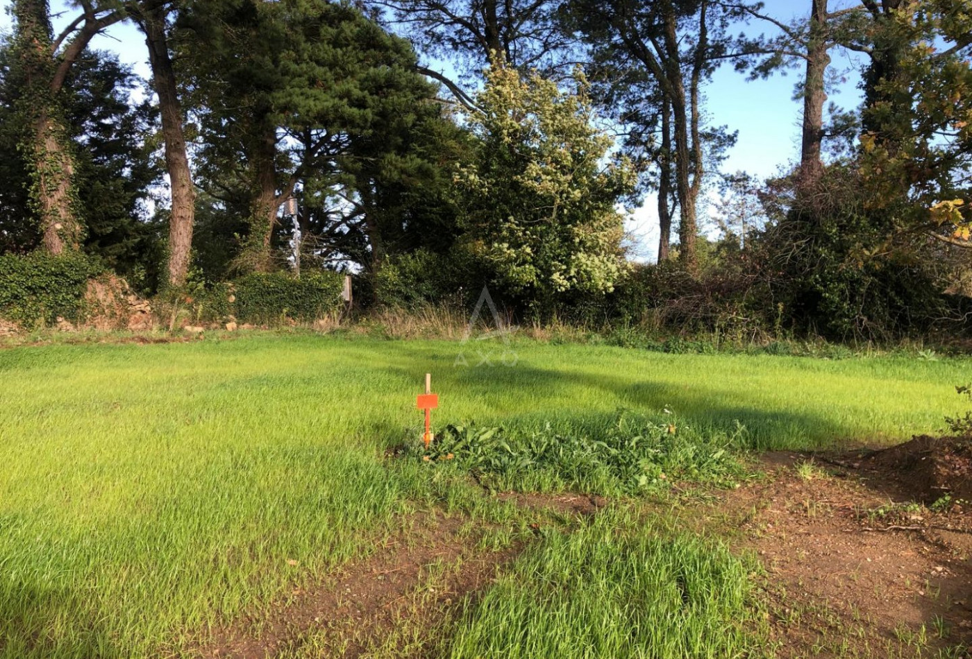 vente Terrain Montaigu-vendÉe - Photo 4