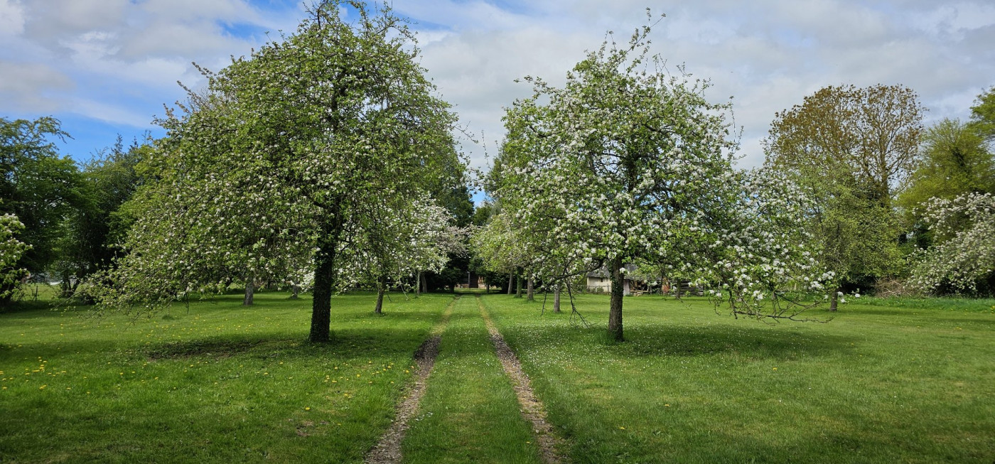 vente Maison Pont L'eveque - Photo 2