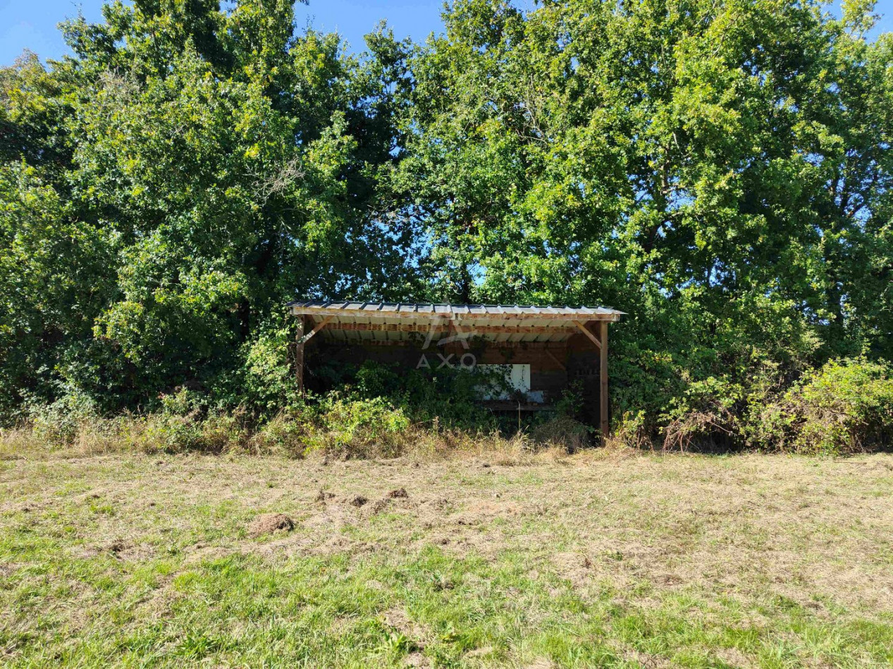 vente Maison Saint Quentin Les Beaurepaire - Photo 11