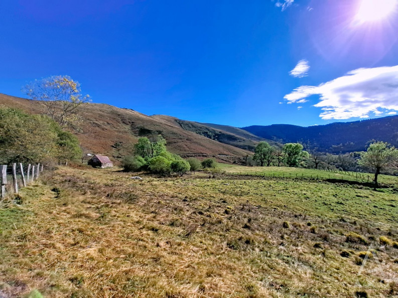 vente Grange Saint Pastous - Photo 4